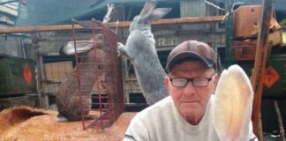 Вухасті антидепресанти Олександра Семенченка: історія кролівника з Широкої Балки