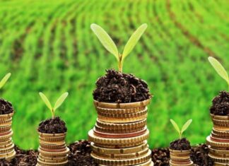 На Херсонщині власники та користувачі перерахували до бюджету майже 10 млн гривень плати за землю