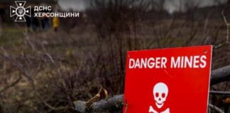 З початку року від вибухонебезпечних предметів на Херсонщині постраждали 13 людей