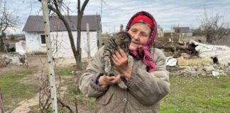 У двох херсонських селах волонтери роздали 200 кг корму для тварин