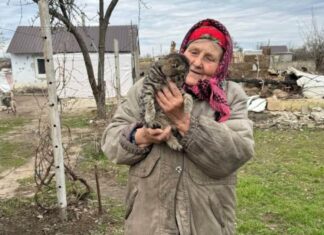 У двох херсонських селах волонтери роздали 200 кг корму для тварин