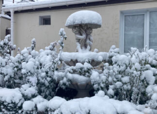 Херсонці пережили найтеплішу зиму за останні 60 років