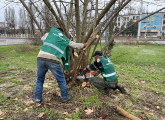 Яких професій потребує ринок праці на Херсонщині