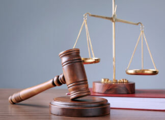 За матеріалами ДБР судитимуть колишнього директора Нацпарку на Херсонщині