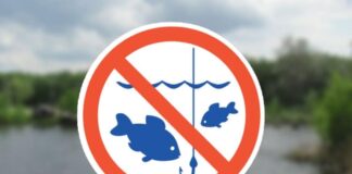 На Херсонщині перенесли строки заборони на вилов риби під час нересту