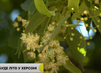 На Херсонщині прогнозують спекотне літо