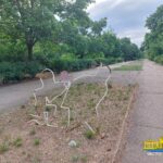 Як наразі виглядає Шуменський парк у Херсоні (фото)