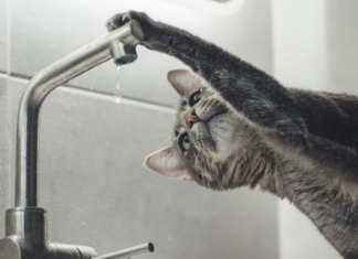 Де завтра в Херсоні не буде води