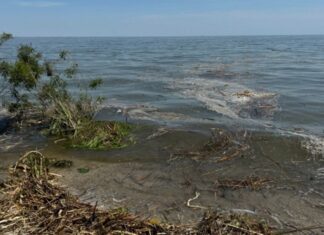 Наслідки підриву греблі Каховської ГЕС для Чорного моря: нові дані
