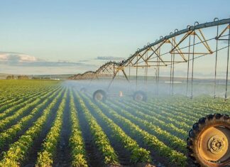 На території трьох громад правобережжя Херсонщини планують відновити зрошення