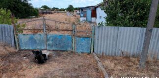 Шість поранених та одна загибла: наслідки ворожих обстрілів Херсонщини минулої доби