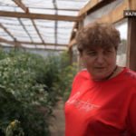 “Уламки падають на голову, а ти тікаєш, і радієш, що жива”: історія жительки звільненого Калинівського