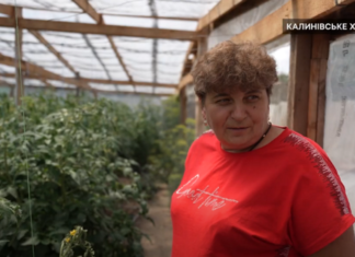 “Уламки падають на голову, а ти тікаєш, і радієш, що жива”: історія жительки звільненого Калинівського