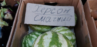 Тепер офіційно: херсонський кавун отримав географічне зазначення