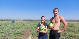 З думками про перемогу: родина з Білогірки на розмінованих полях вирощує кавуни та дині