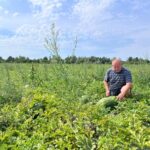 Херсонський фермер з 25-річним стажем вирощує кавуни на Львівщині