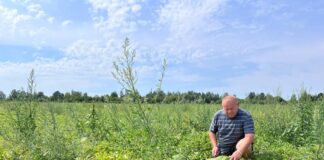 Херсонський фермер з 25-річним стажем вирощує кавуни на Львівщині