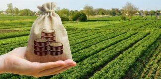 До місцевих бюджетів Херсонщини надійшло понад 40 млн гривень плати за землю