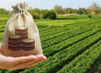 До місцевих бюджетів Херсонщини надійшло понад 40 млн гривень плати за землю