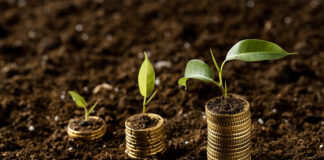 Плата за землю поповнила місцеві бюджети Херсонщини на понад 49 мільйонів