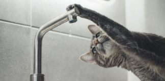 Де сьогодні у Херсоні не буде води