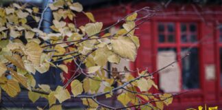 Як виглядає центральна частина Херсона (відео)