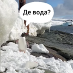 Полярник з Херсона зафільмував зустріч із пінгвінами