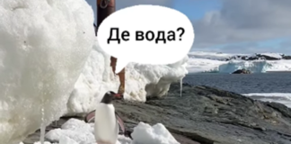 Полярник з Херсона зафільмував зустріч із пінгвінами