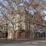 Що можна зустріти на зимових вулицях Херсона (відео)