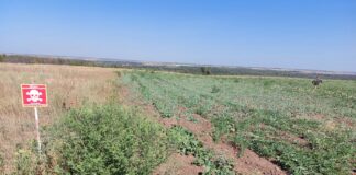 З початку року найбільше земель сільгосппризначення розмінували на Херсонщині