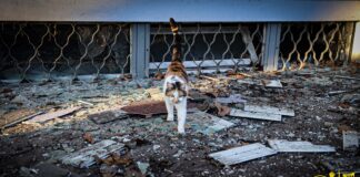 У Херсонській громаді запровадили трудову повинність