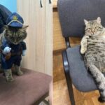 Херсонські патрульні прихистили собаку та кота