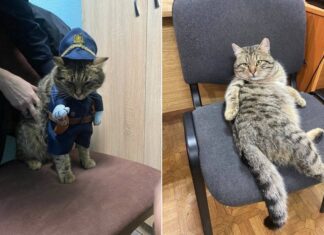 Херсонські патрульні прихистили собаку та кота