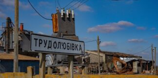 Жителька Трудолюбівки повернулась у рідне село і намагається відновити господарство