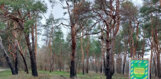 На Херсонщині захистили землі заповідного урочища «Недогірський ліс»