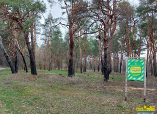 На Херсонщині захистили землі заповідного урочища «Недогірський ліс»