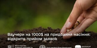 Аграрії Херсонщини можуть отримати ваучери на закупівлю насіння зернових