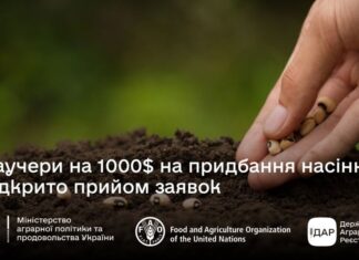 Аграрії Херсонщини можуть отримати ваучери на закупівлю насіння зернових