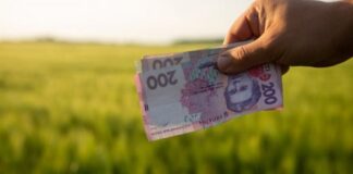 Земля поповнила місцеві бюджети Херсонщини на понад 4 мільйони