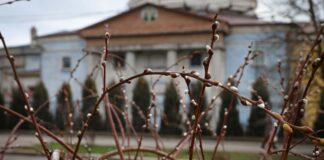 З початку року в Херсоні вже зафіксували температурні рекорди
