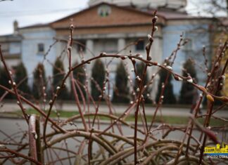 З початку року в Херсоні вже зафіксували температурні рекорди