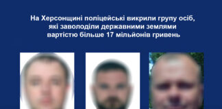 На Херсонщині викрили групу осіб, які заволоділи державними землями на понад 17 мільйонів гривень
