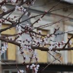 Як виглядають вулиці Херсона (відео)