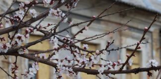 Як виглядають вулиці Херсона (відео)