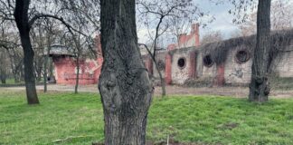 Двоє загиблих і сім поранених: наслідки російських обстрілів Херсонщини минулої доби