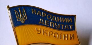 Скільки заробили й що купували у 2024 році народні депутати з Херсонщини