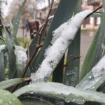 До Херсона повернулась зима (відео)