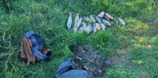 Інспектори Херсонського рибоохоронного патруля затримали чоловіка, який рибалив у нацпарку