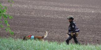Як працюють пошукові групи ЗСУ на Херсонщині
