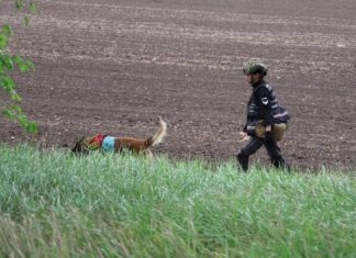 Як працюють пошукові групи ЗСУ на Херсонщині